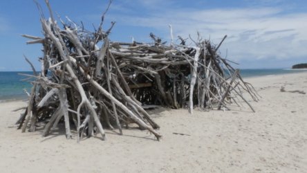 Bribie Bush and Beach Walk 062 P1020103 scaled Bribie Bush and Beach Walk 062 P1020103 scaled