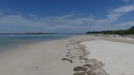 Bribie Red Beach to Buckleys Hole 028 P1020143 scaled Bribie Red Beach to Buckleys Hole 028 P1020143 scaled