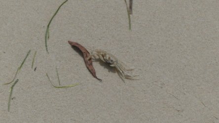 P1020303 scaled P1020303 scaled