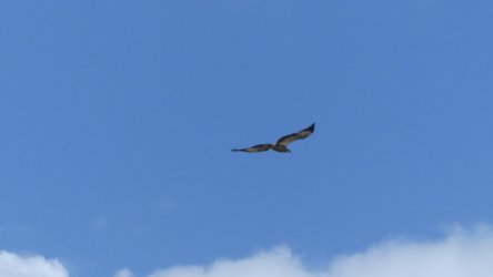 P1020308 scaled P1020308 scaled