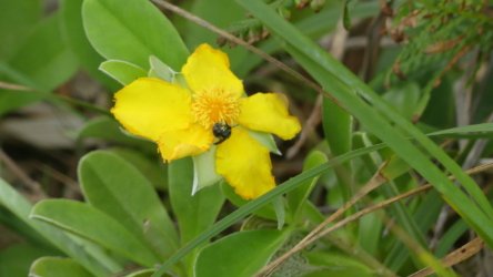 P1020321 scaled P1020321 scaled