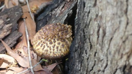 P1020331 scaled P1020331 scaled