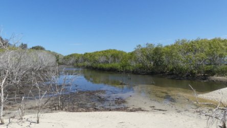 P1020354 scaled P1020354 scaled