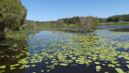 P1020370 scaled P1020370 scaled