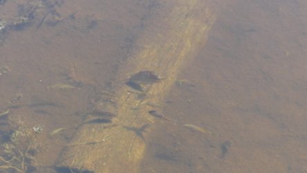 P1020375 scaled P1020375 scaled